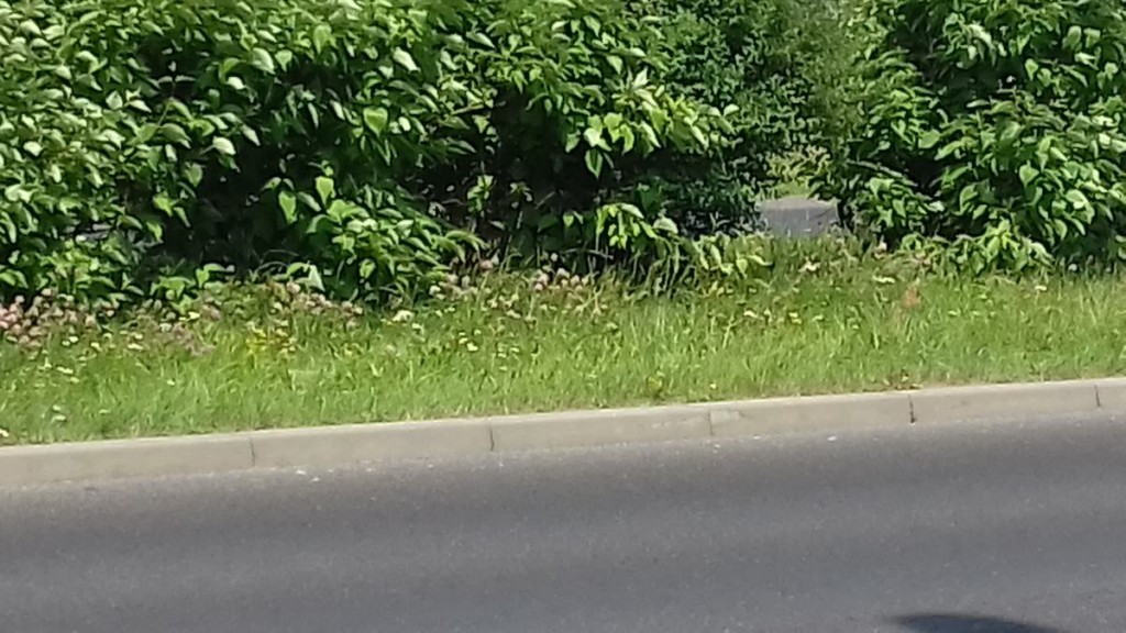 20170629_111755