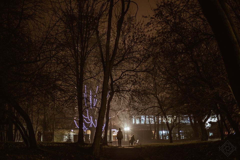Instalacje drzewo