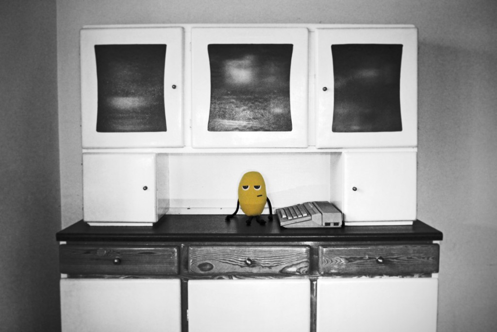 melon_foto