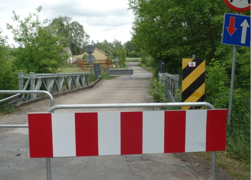 krzewien