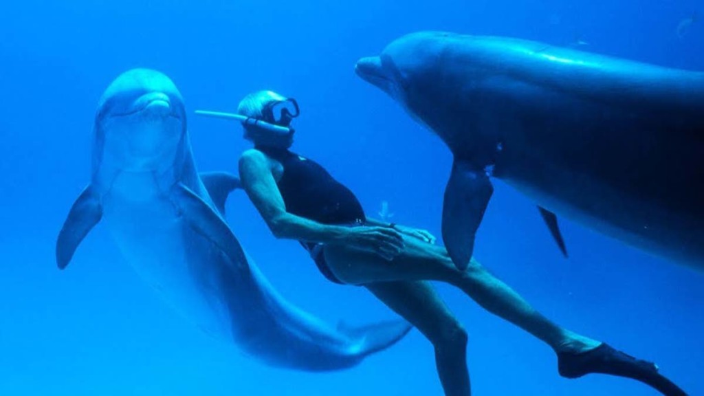Człowiek delfin