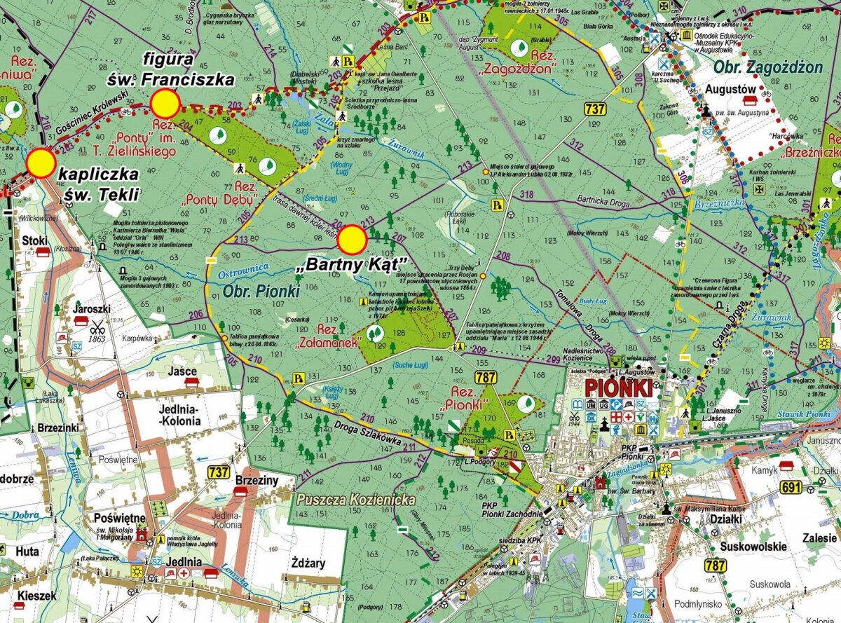 Mapa_II_Pionkowski_Dzień_Pszczoły