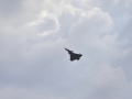 _MSR0093.jpg