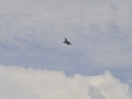 _MSR0109.jpg