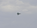 _MSR0143.jpg