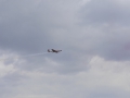 _MSR0465.jpg