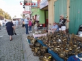 SAM_0069