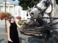 SAM_9959