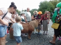 SAM_9982