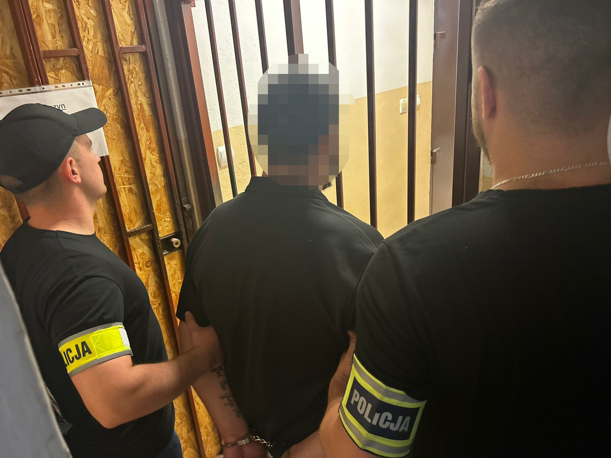 Gruzin zachowywał sie podejrzanie. Policjant po służbie doprowadził do zatrzymania cudzoziemca (WIDEO)
