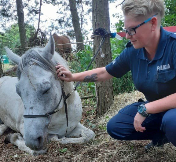 Dzielnicowa z Warki ewakuowała ludzi z płonącego mieszkania. To nie pierwsza taka interwencja asp. szt. Anety Ścisłowskiej