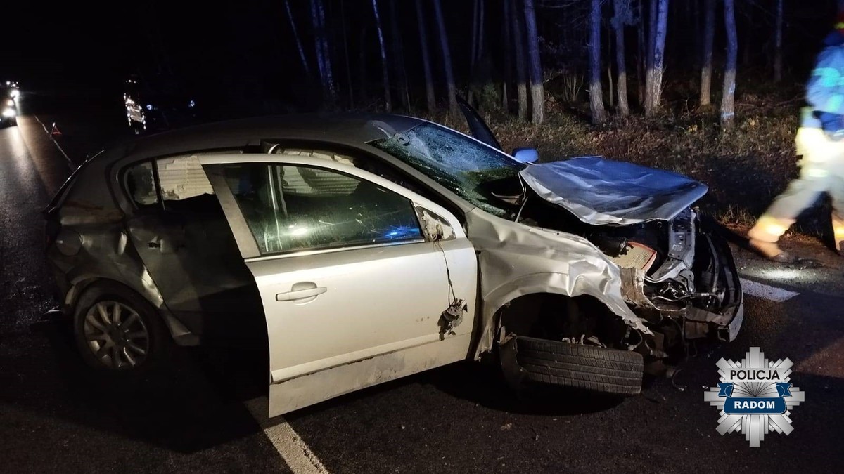 Jeleń wbiegł na drogę w Skaryszewie. Dwie osoby zostały odwiezione do szpitala