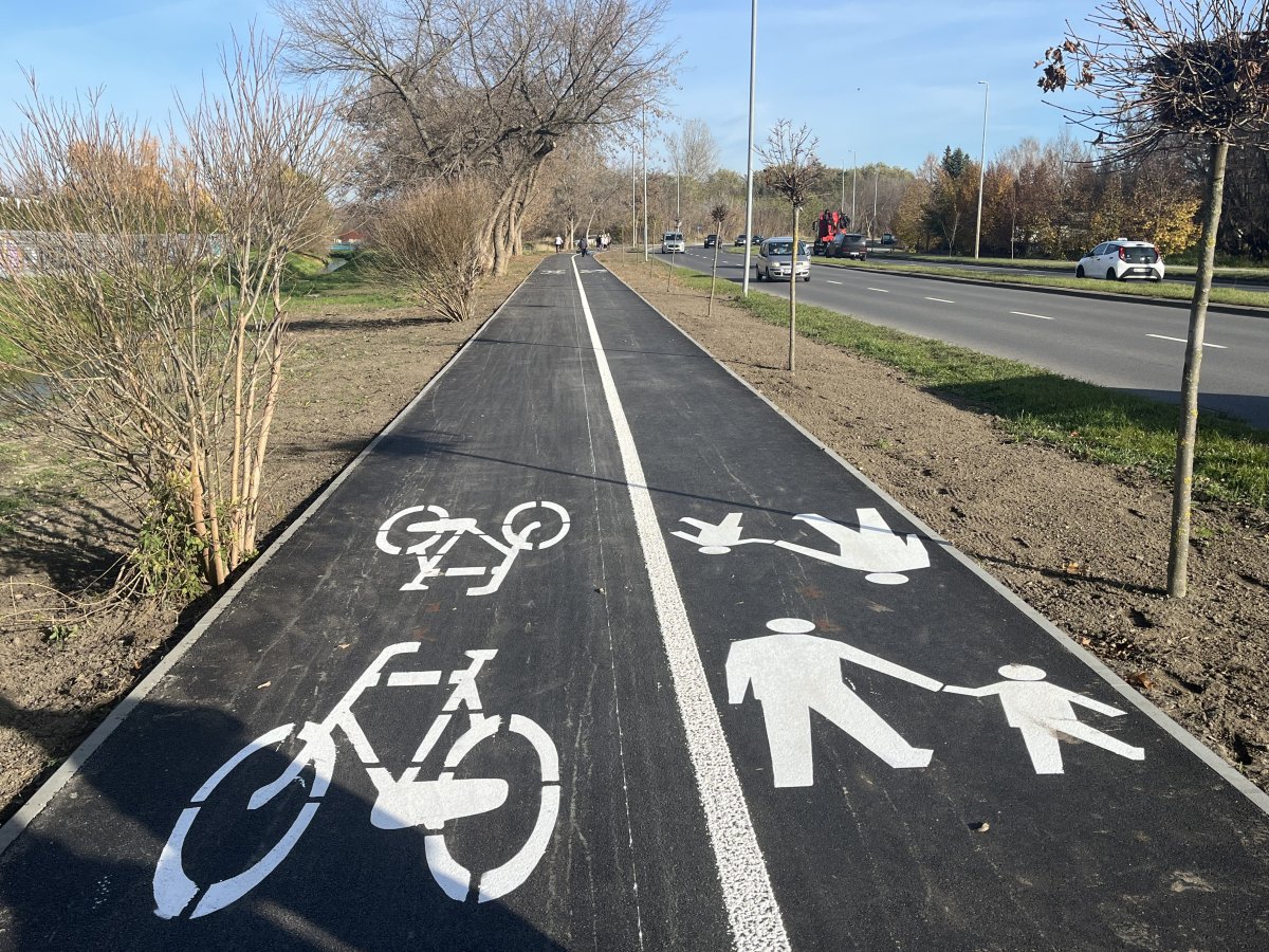 Wzdłuż ul. Szarych Szeregów biegnie nowa ścieżka rowerowa. To inicjatywa radomskich cyklistów