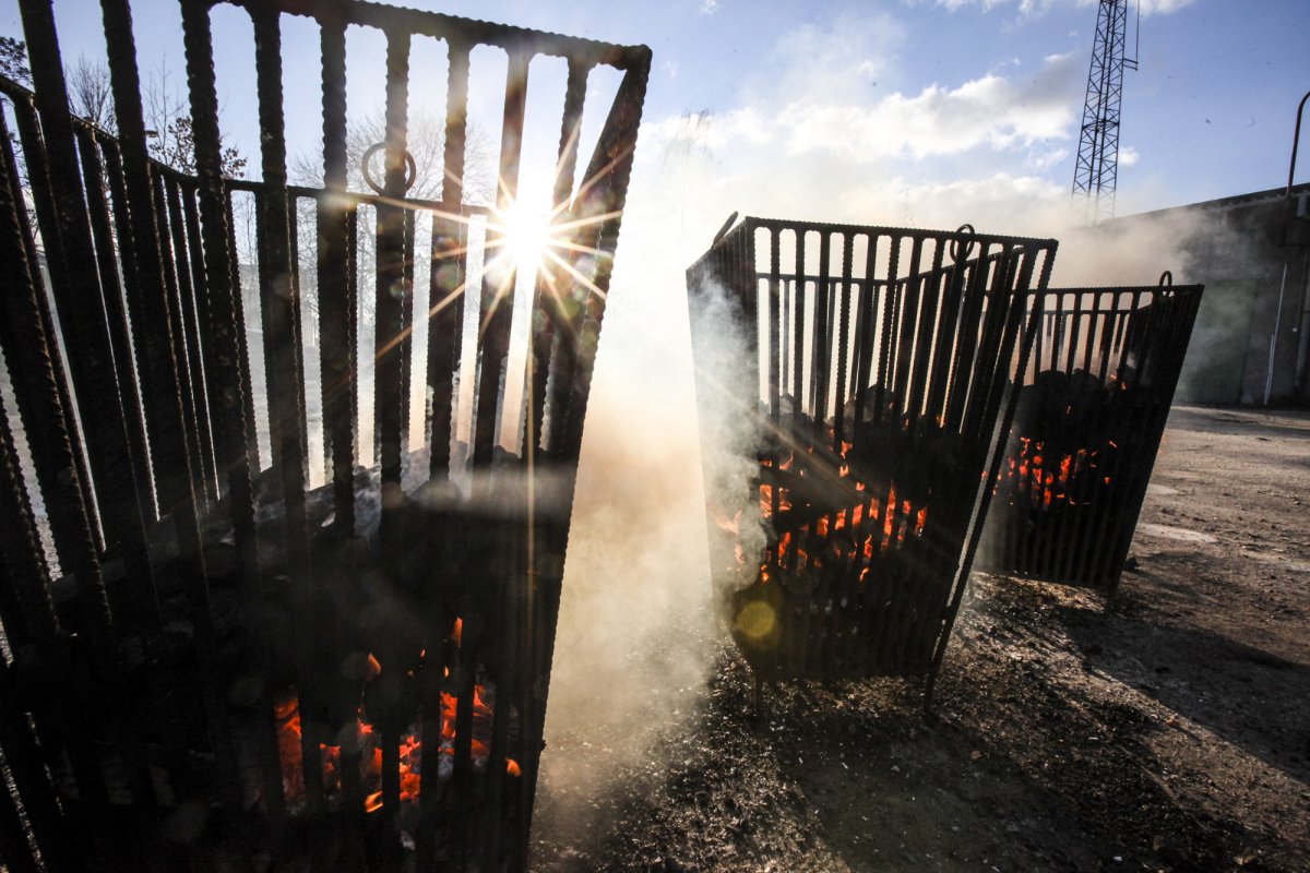 18. Zimowy Przegląd Filmowy Koksownik 2025. W kinie Elektrowni obejrzymy 11 obrazów