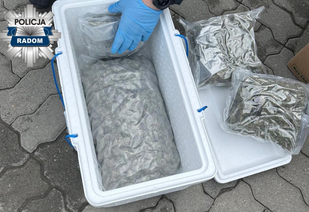 2 kg marihuany w przesyłce kurierskiej, Adresat zatrzymany i tymczasowo aresztowany