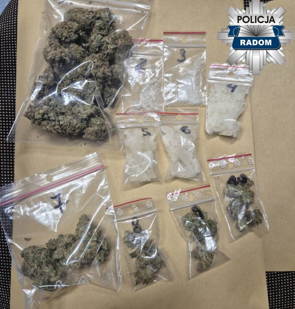 Policjanci słusznie podejrzewali, iż 19-latek może posiadać środki opdurzające. To był mefedron i marihuana