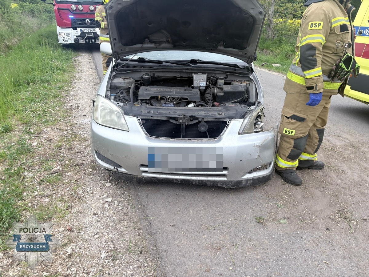 Groźny wypadek w Borkowicach. Lotnicze Pogotowie Ratunkowe zabrało pięcioletnie dziecko do szpitala